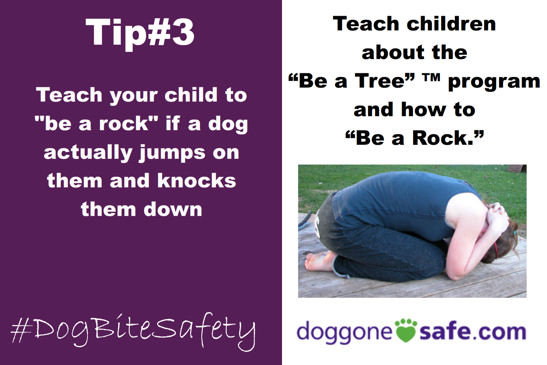 Dog Bite Safety Tips Pet Pal Laura LLC