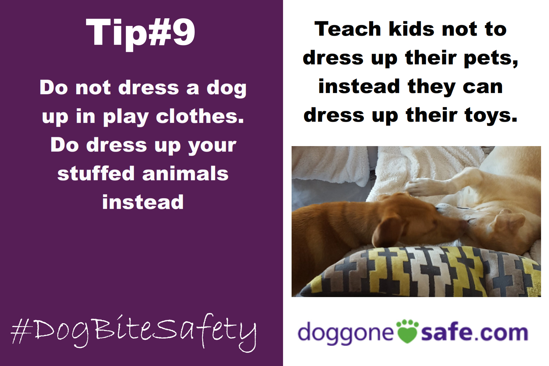 Dog Bite Safety Tips Pet Pal Laura LLC